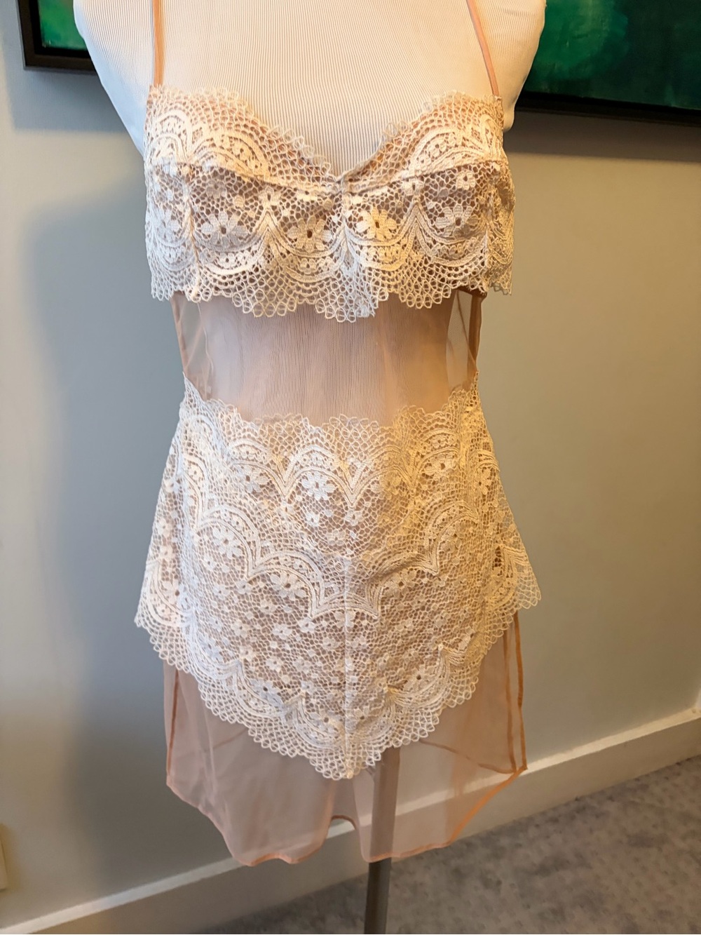 Victoria's Secret Sheer Lace Chemise in Nude